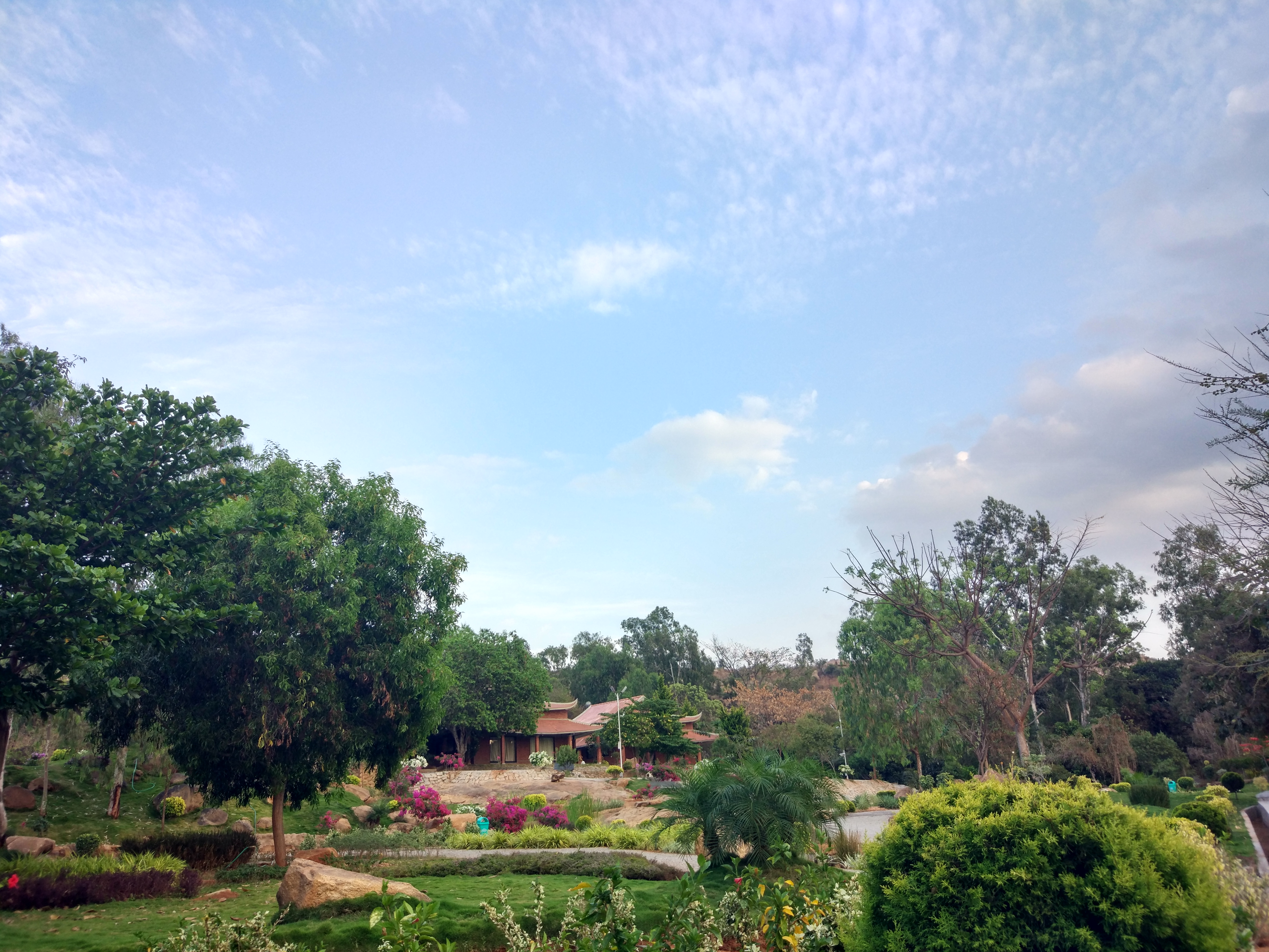 Campus gardens with tiled-roof buildings set among mature trees