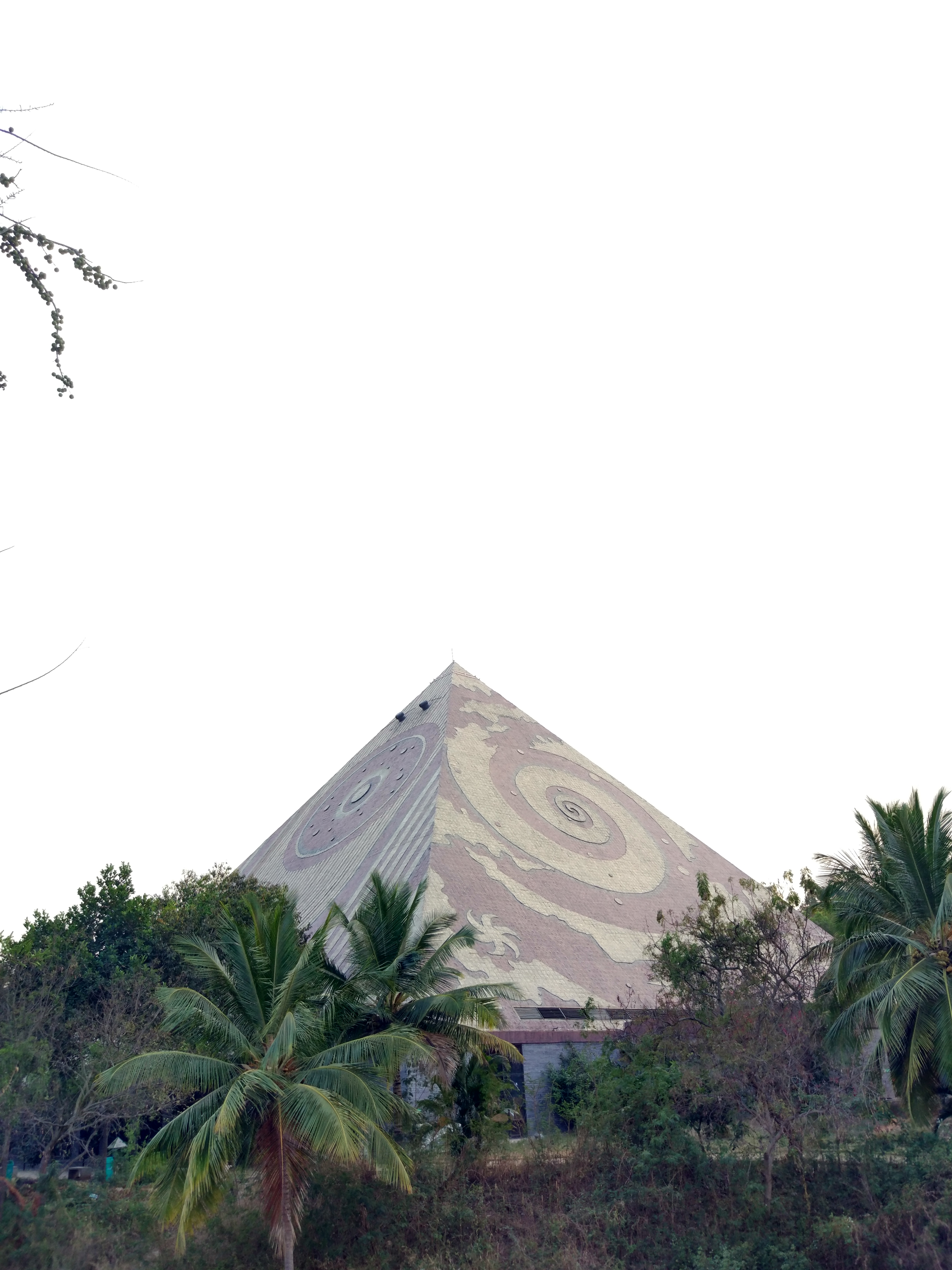 Pyramid rising above palm trees and dense campus foliage