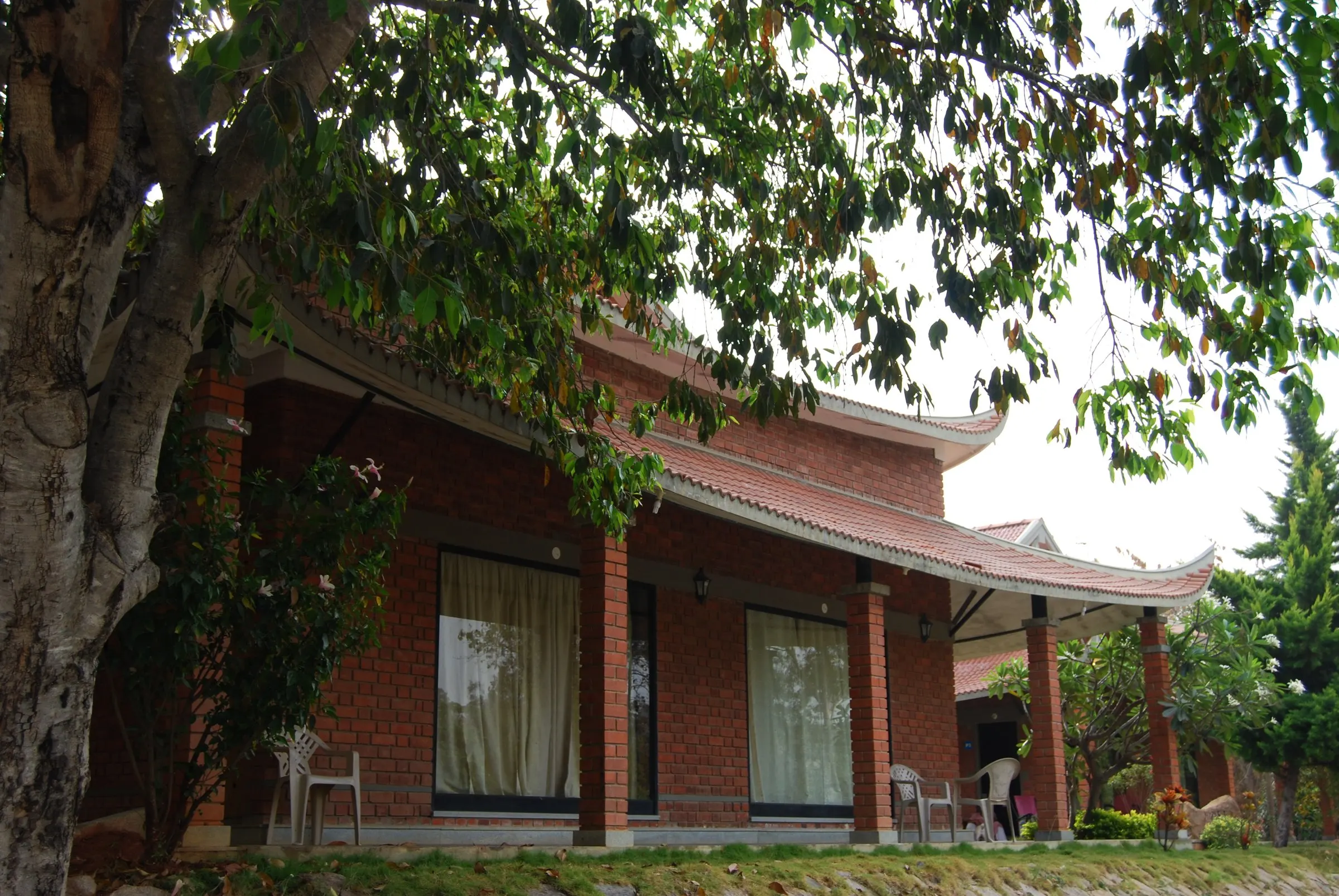 A cottage's deep verandah beneath a large tree