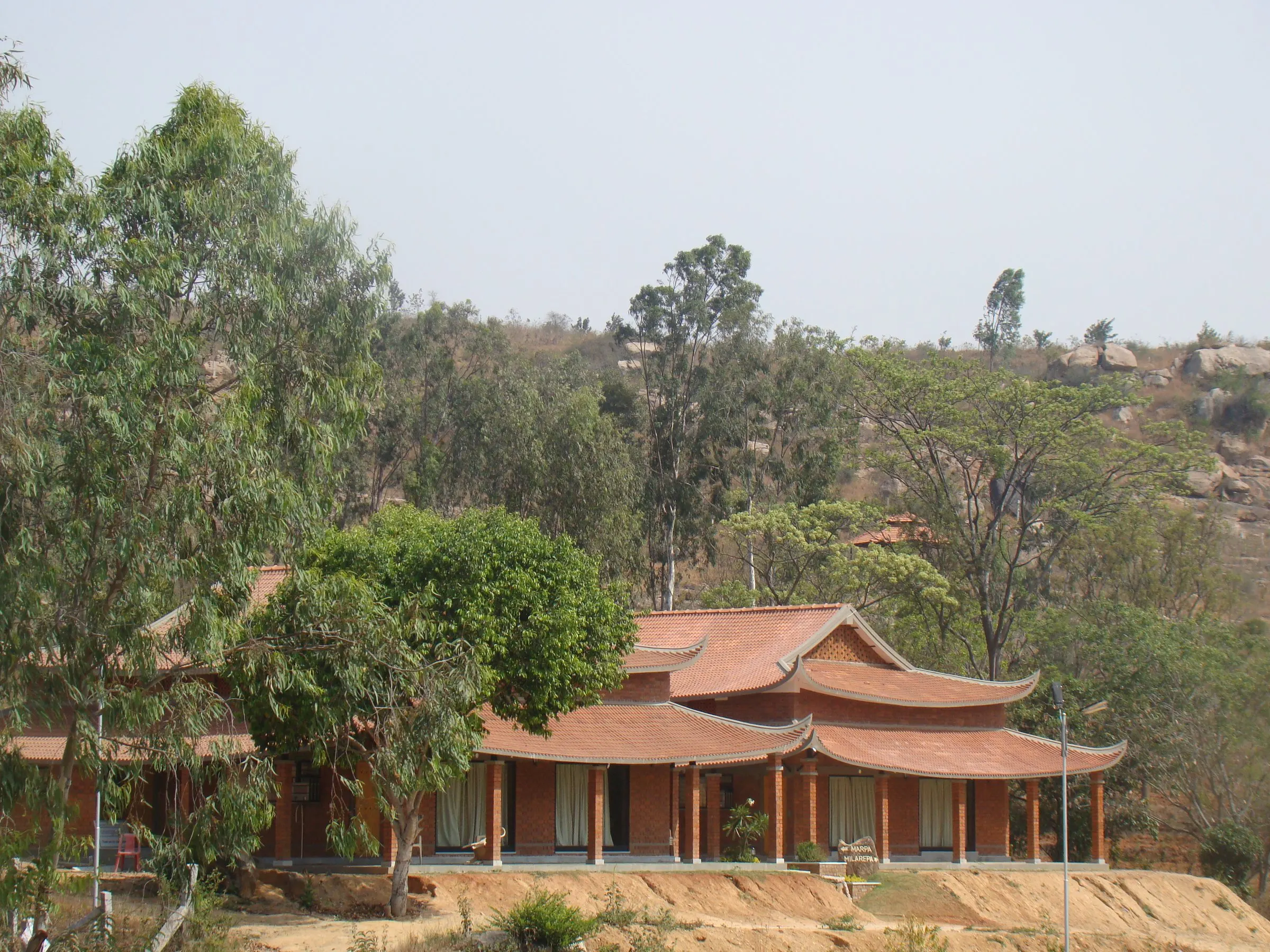 The cottages on the hillside among eucalyptus trees
