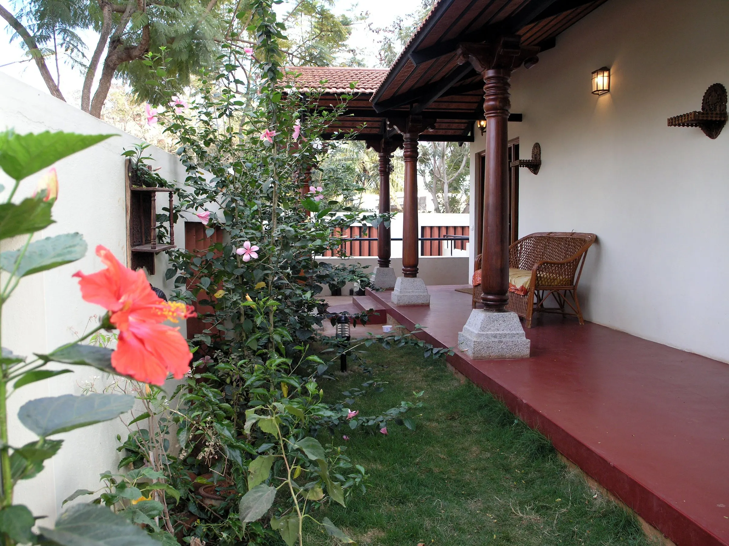 A hibiscus in bloom beside a verandah of timber columns, a lawn beyond