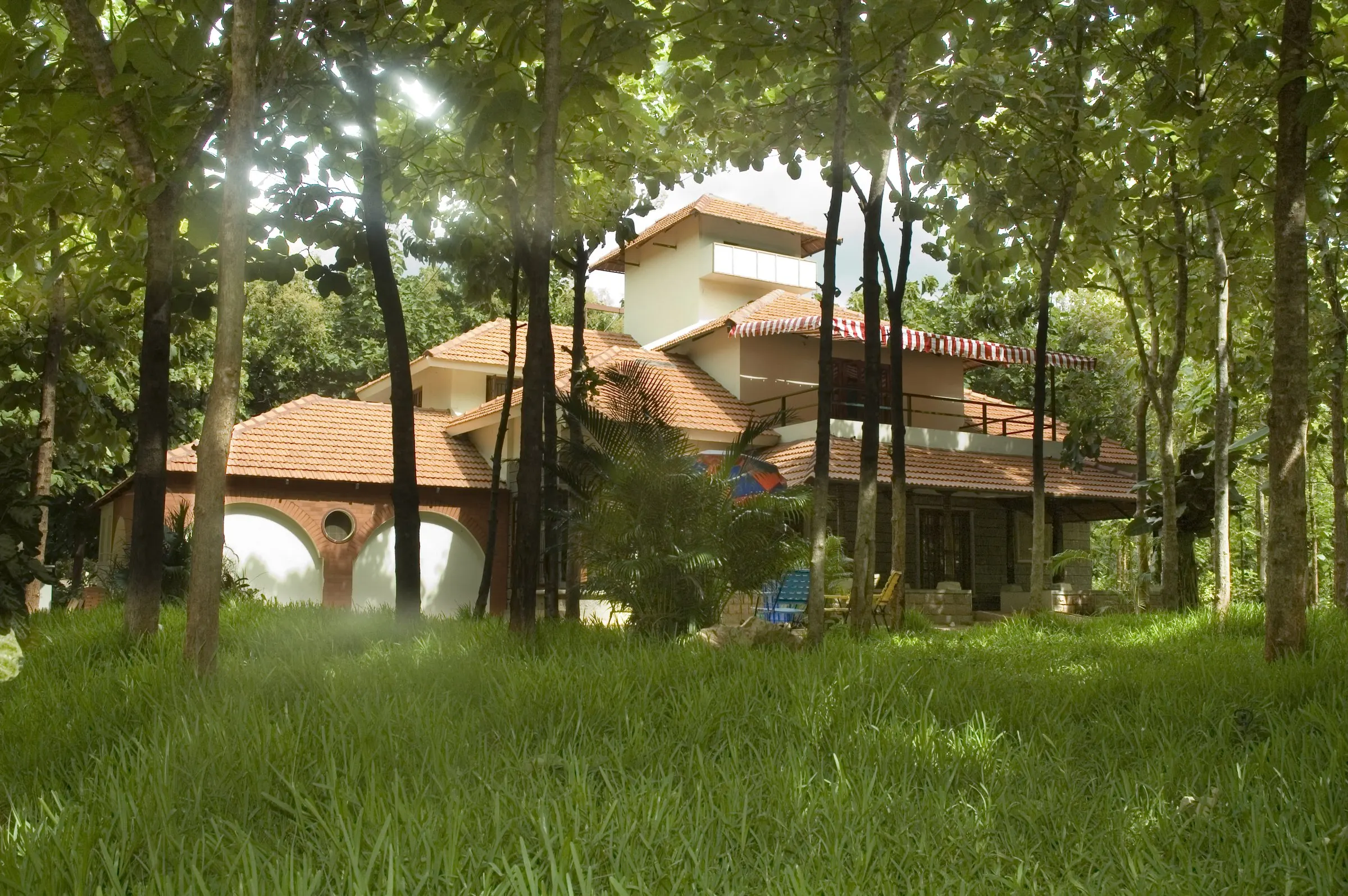 A tiled-roof farmhouse among tall trees and long grass